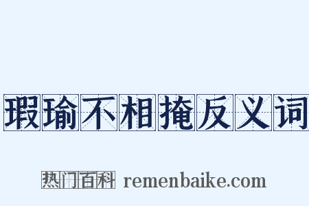 瑕瑜不相掩反义词是什么意思的图片